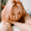 https://i.postimg.cc/nc9SpPqM/2.gif