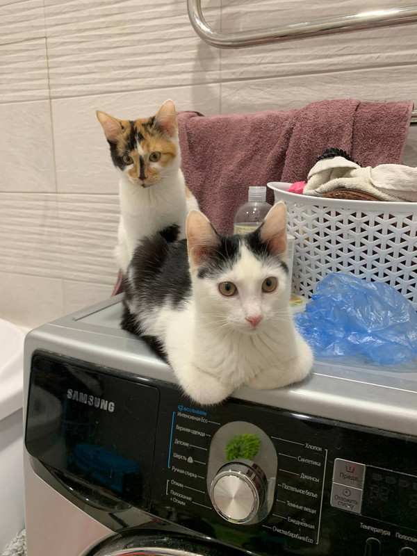 DDB37F9B-61F1-4A1B-89F0-89E1B6128CFC