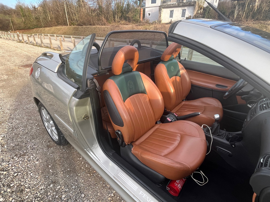 [Image: 2024-02-19-10.jpg]