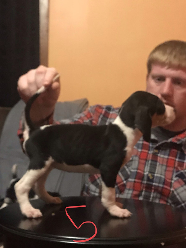 E7217B43-D86E-4F4F-8A96-FFFA56500303