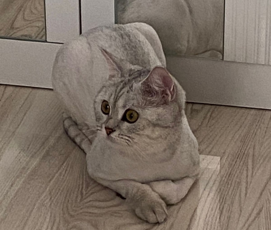 _1ывдд
