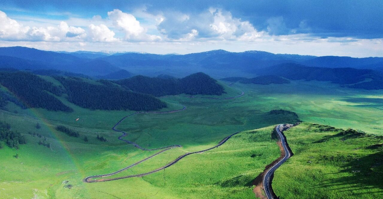 Пограничный полицейский участок Теректы задержал медвежонка-воришку