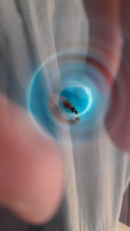 20260623 200439(1)