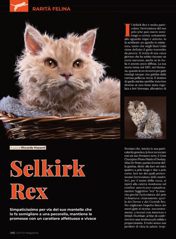 Ga Ma Giu-Lug 2021 (9)