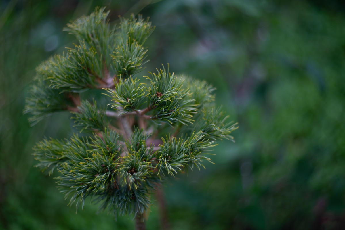 IMG-7ba03214c6f4c8b52de5cb1e2c0ca6d0-V