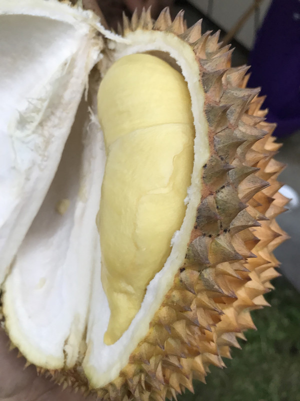 7439D1D6-733C-456B-8F45-1D54663A57BC