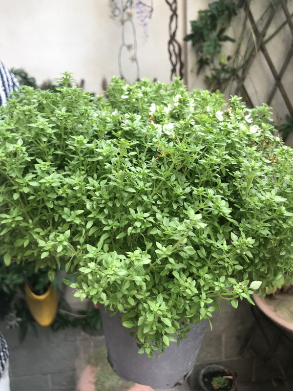 87A83606-88DD-4075-9F99-B991DDB5A47E