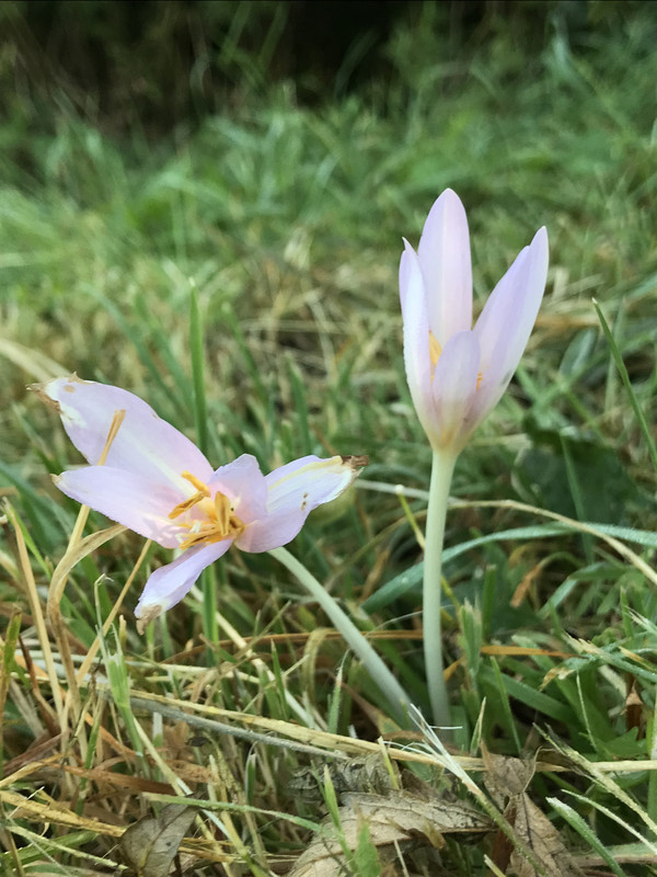 4A9B90C4-FD10-4145-9A02-AE8BBD880D14