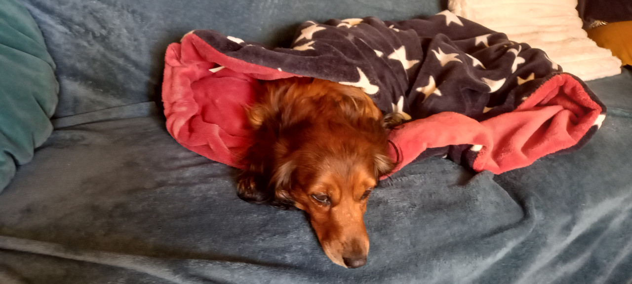 [Image: 20241122-101914.jpg]