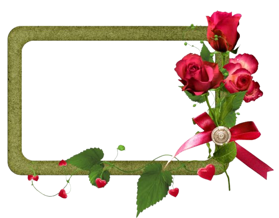 0a62af041b1fc0ff6948576d99bddeb2-removeb