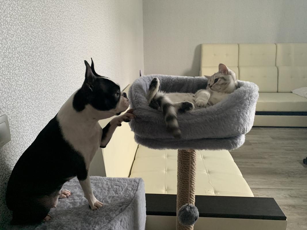 B0B0CFAE-9E0C-4055-A846-EF79FD80A078