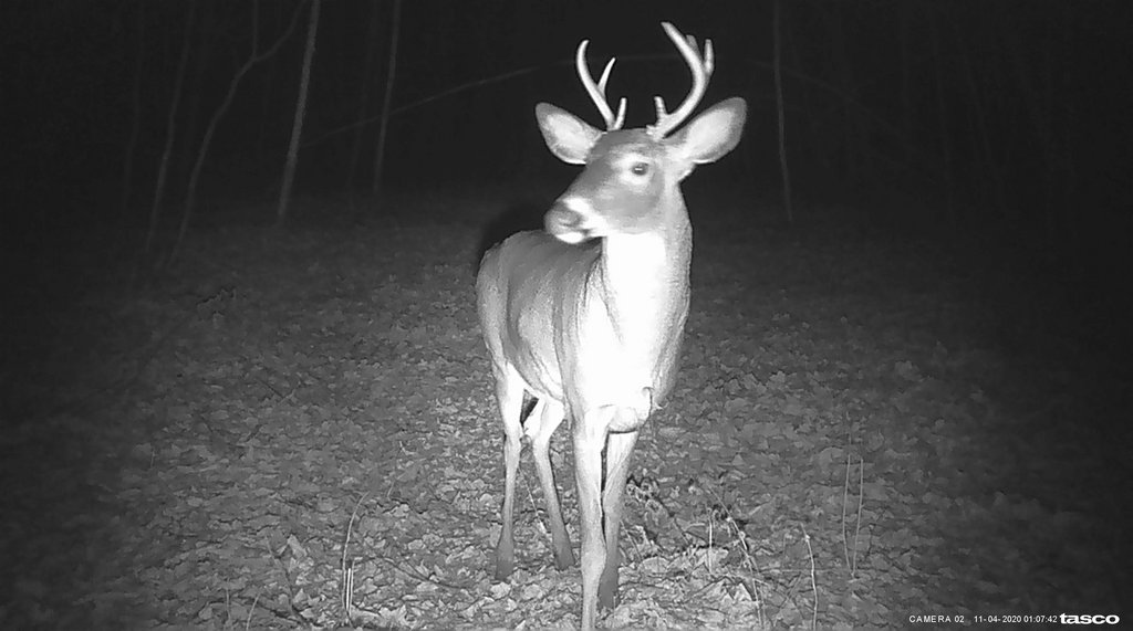 6762150A-31A2-457B-85AE-B074F35FDFAB