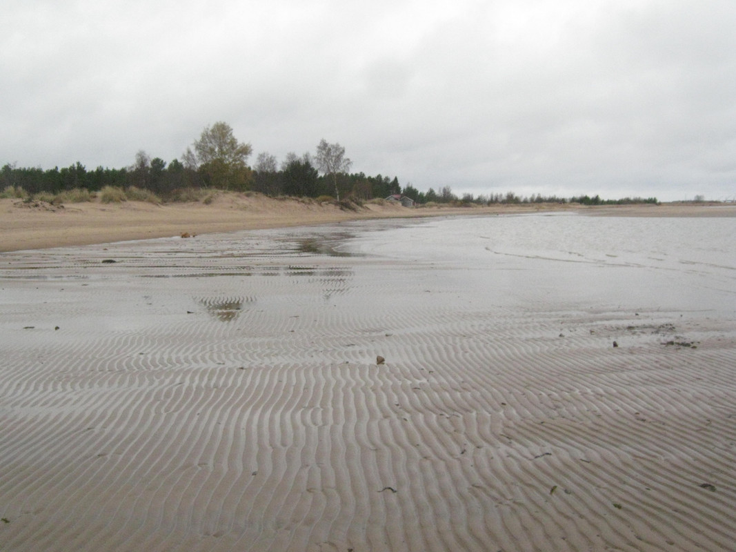 Särkillä 20-10-14 004