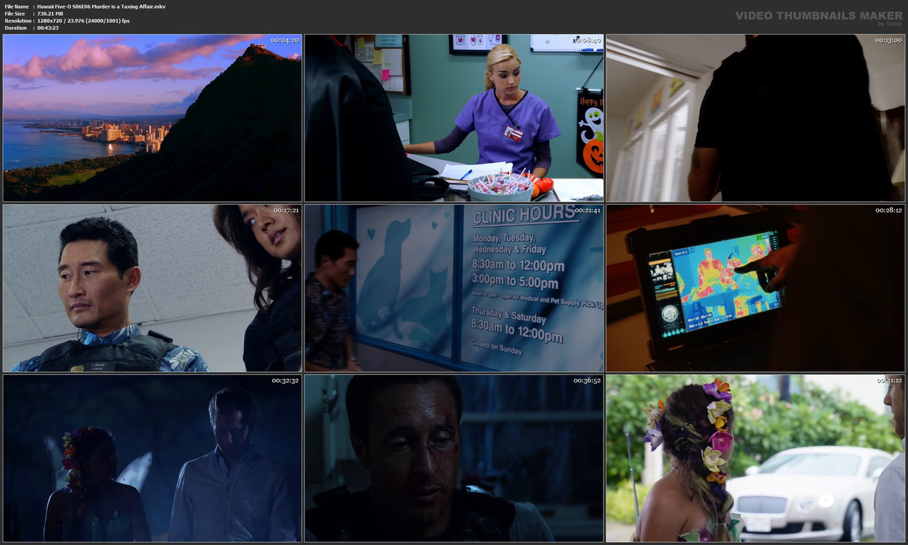 Hawaii Five-O S06E06 Murder is a Taxing Affair.mkv