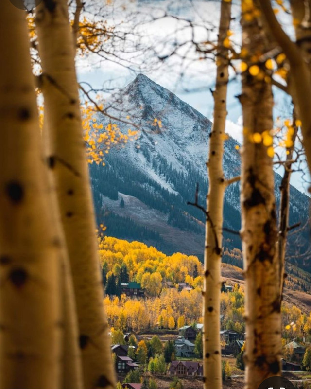 Screenshot_20240131_210636_Pinterest