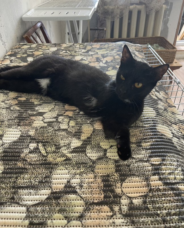 35E6F8A9-3C0A-465B-A360-AB805AF0E08A