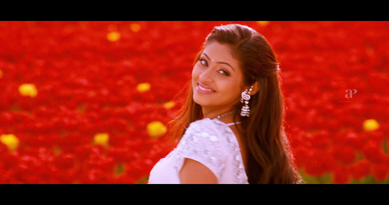 VideoCapture_20241122-195254