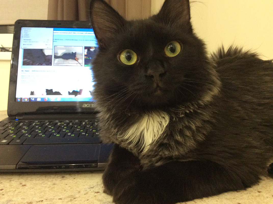 84A3543C-8805-47EB-839B-D66A8CB3A5B2