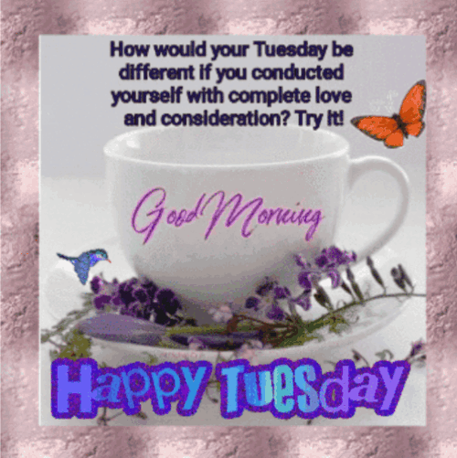 oie-2175533Q8k-Nd-F9b