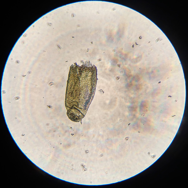 IMG 20250616 212804 HDR