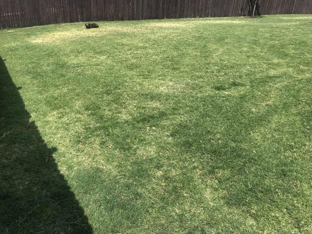 2F04C15E-89FD-43C3-8971-FBFB4B1AD017