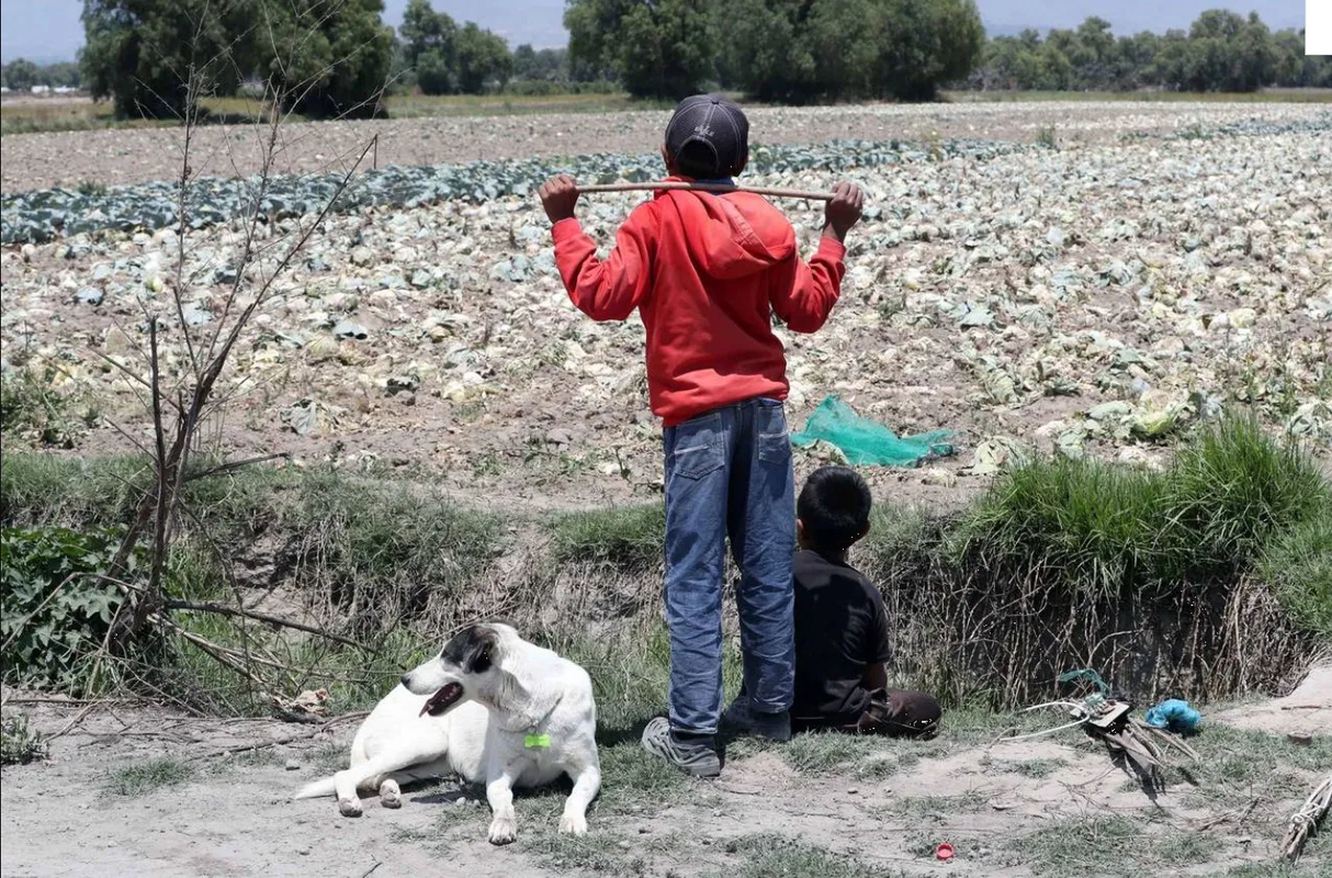 “Respiramos la muerte” dice aliado de Los Chapitos que ayudó a proteger a Ovidio