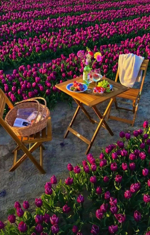 Screenshot_20240404_195435_Pinterest