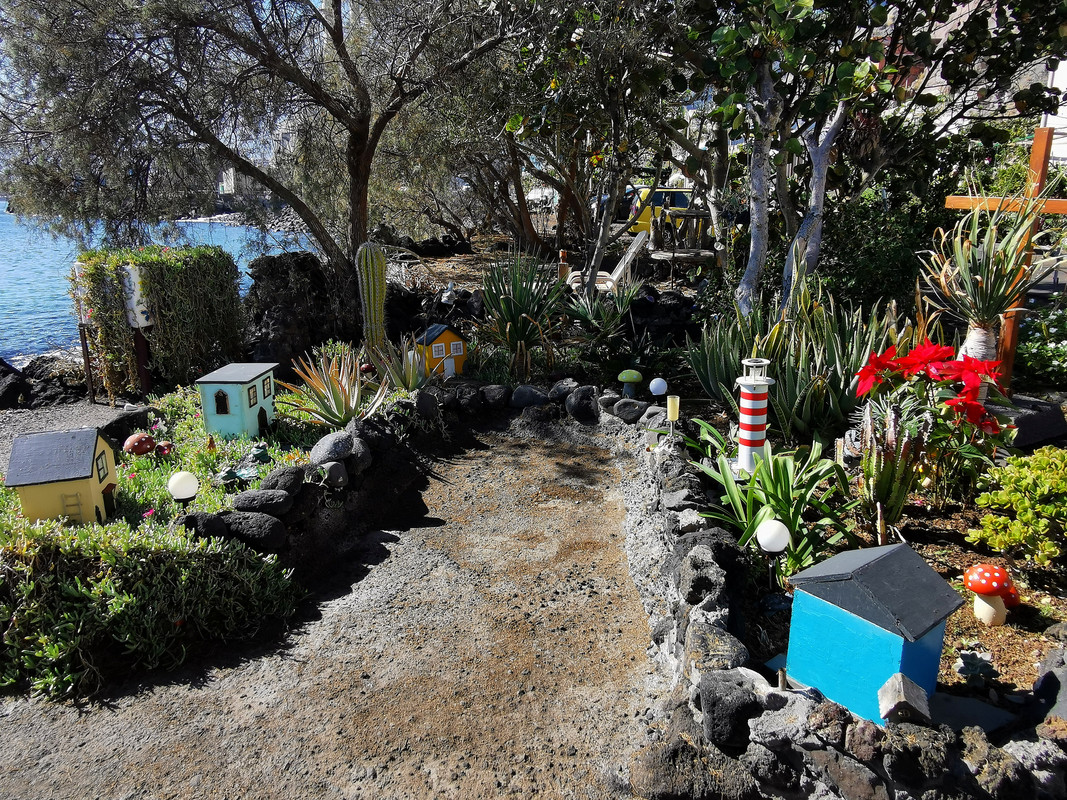 IMG_20240103_123344_edit_88382492427658