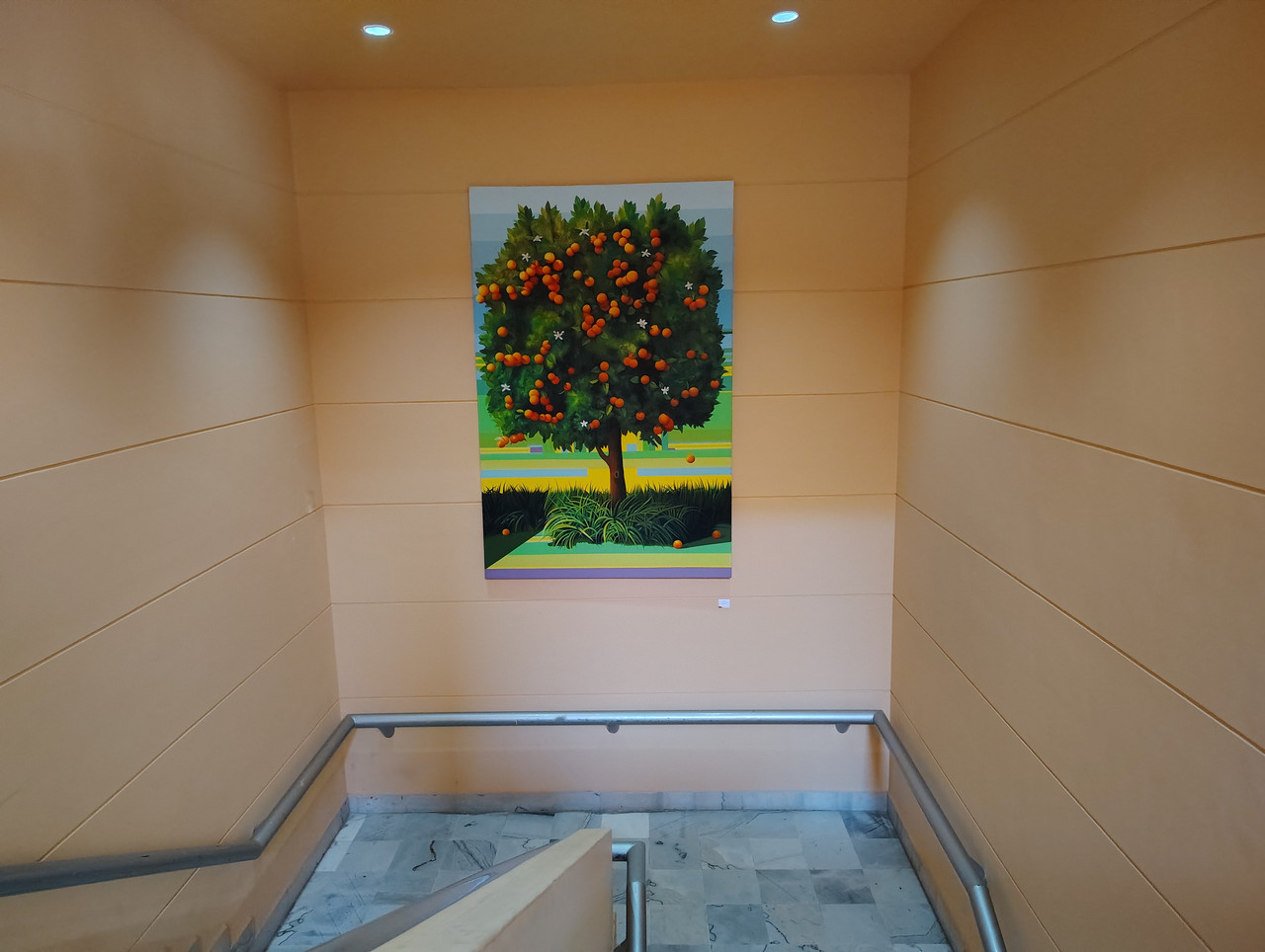 IMG 20260320 105123230 HDR