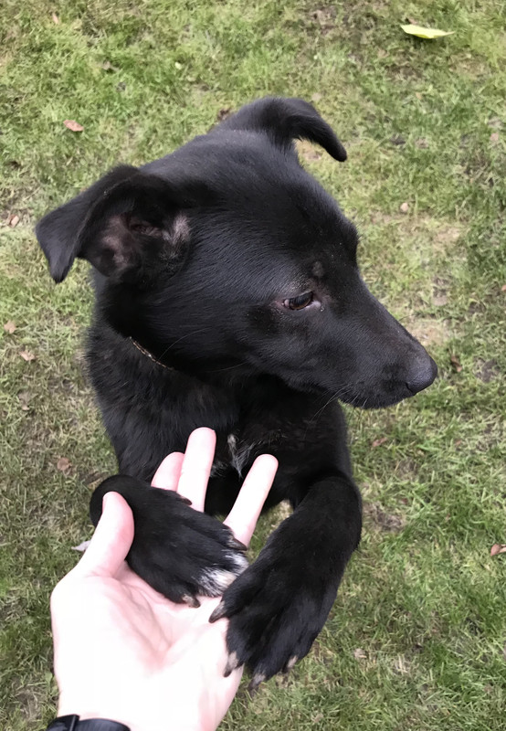 44BA53D2-EDE3-4907-9533-634F871FB9FF