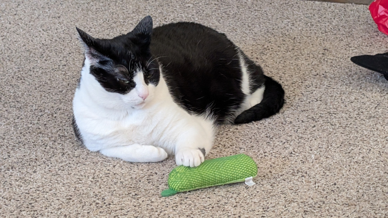 PXL 20251228 170543978