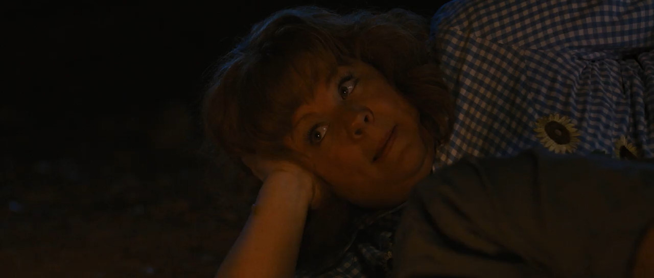 Identity Thief 2013 Unrated BluRay [Hindi + English] 480p 720p ESub Screenshot