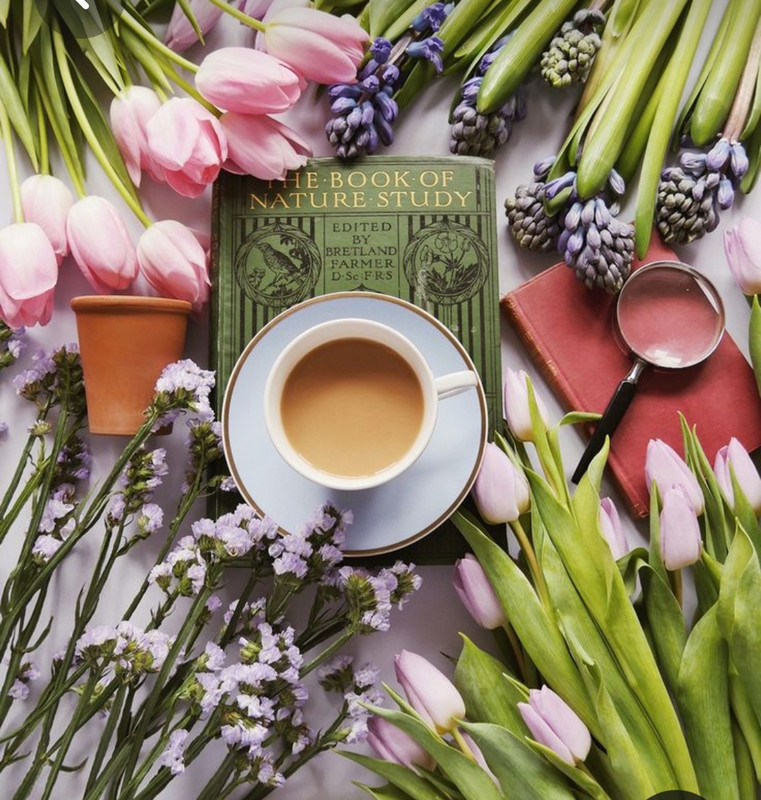 Screenshot_20230315_230506_Pinterest