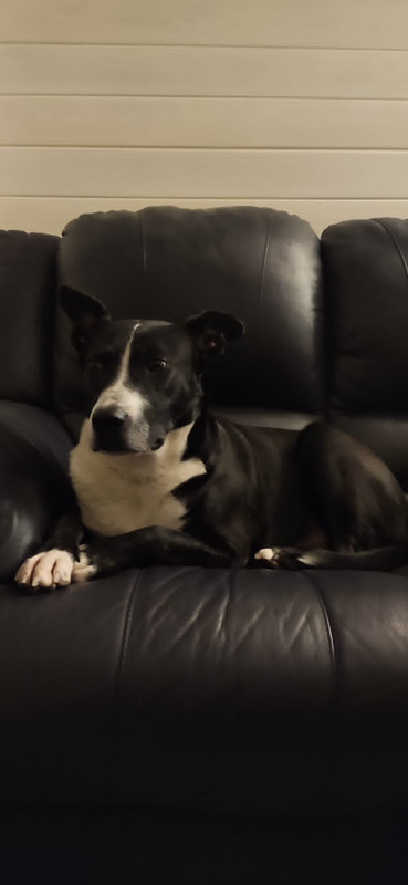 A556EAC7-E661-4BFC-AD4E-7B2225EDF53A