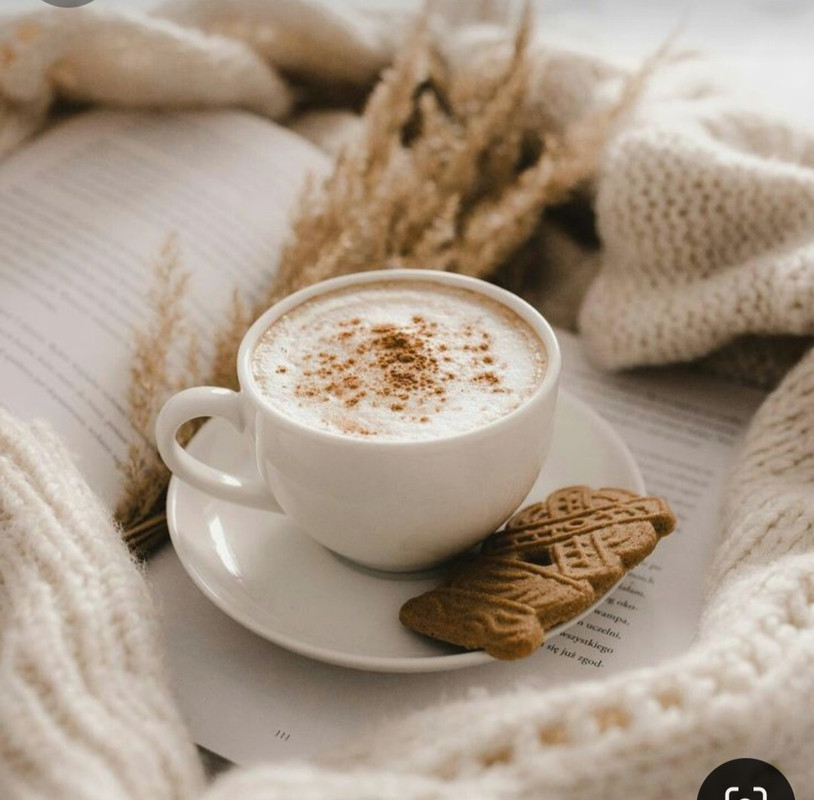 Screenshot_20240529_234144_Pinterest