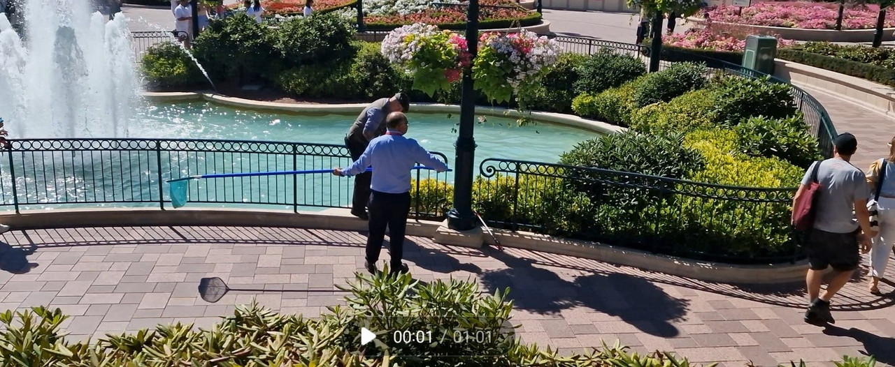 Screenshot_20220715-235336_Gallery