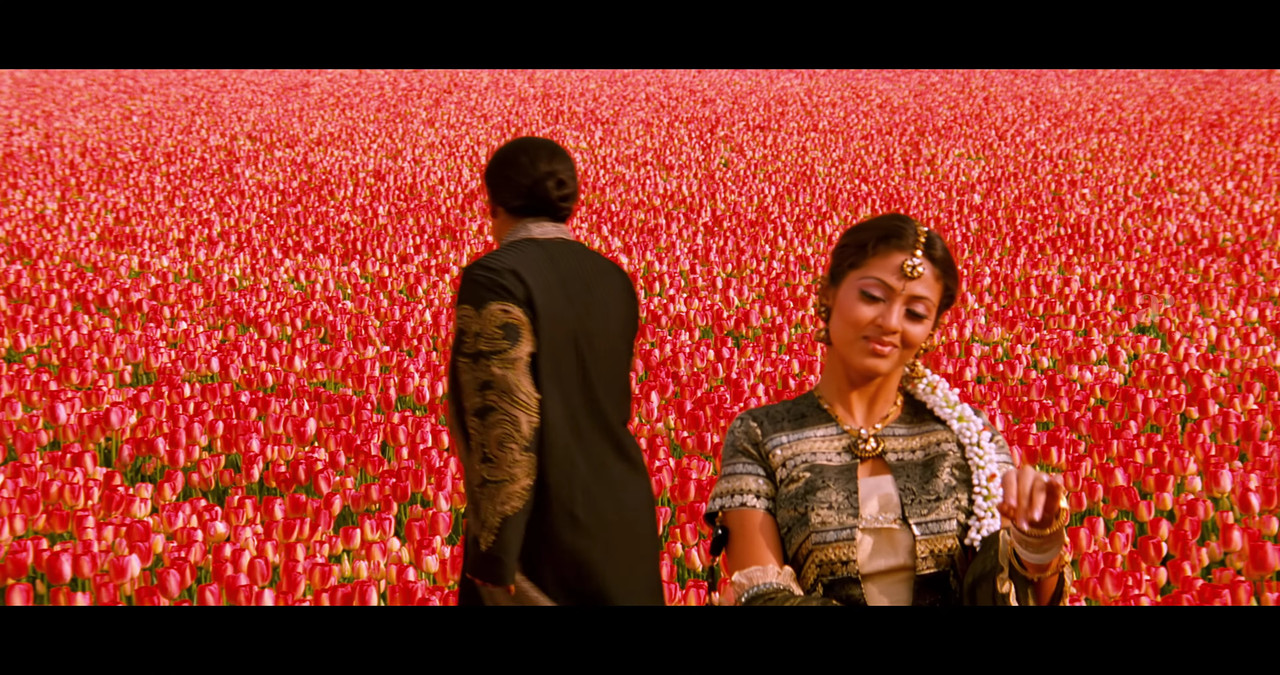 VideoCapture_20241122-200623