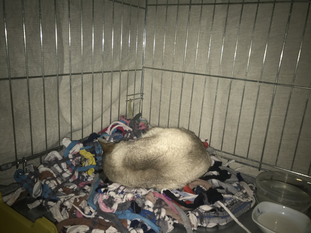 4FAF4470-F657-4486-B658-37D33D271149