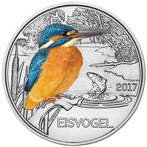 3e_2017_eisvogel_animiert