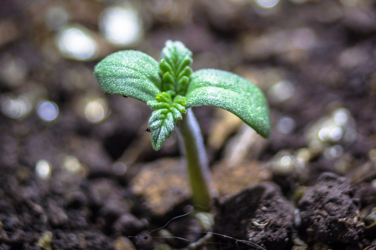 seguimientoindoor1.01 (4 de 13)