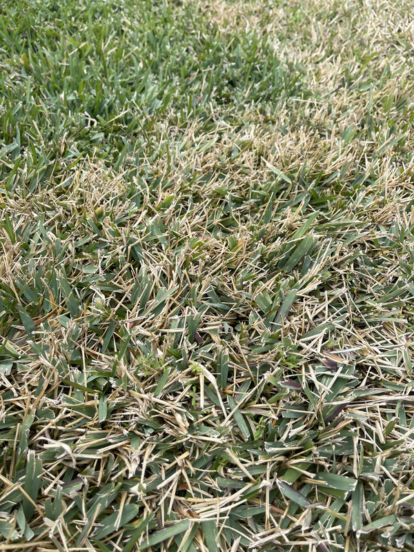 204BF4D7-1513-4413-BD55-EF1DE3150673