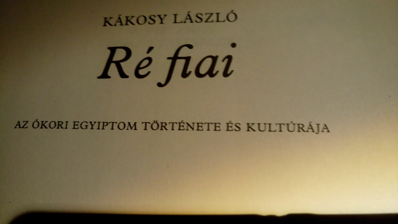 Kép