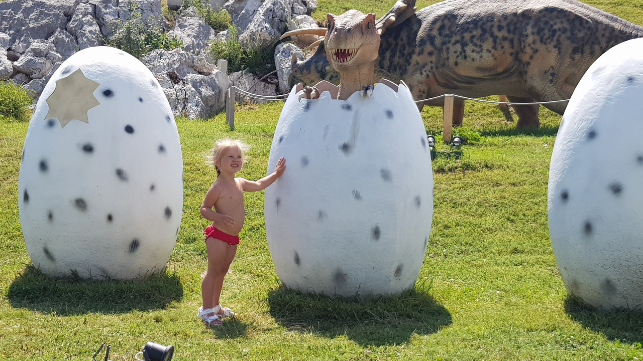 FC277A09-96DD-41FF-B986-512DE9F803BD