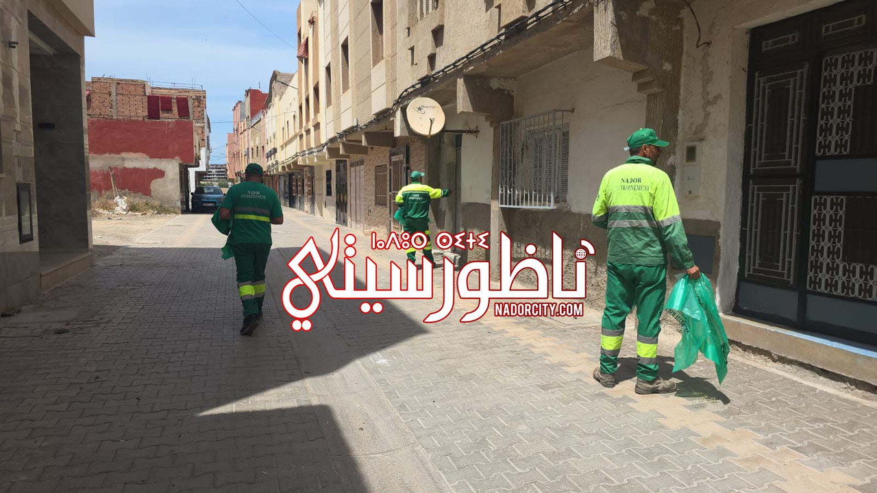 Whats-App-Image-2026-05-25-at-15-18-45-(1)