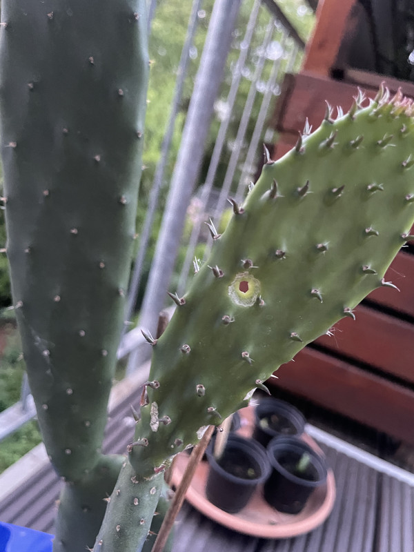 492E0E61-7B66-4FF4-9C94-E73D136CA3B5