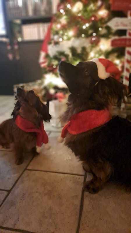 [Image: unnamed.jpg]