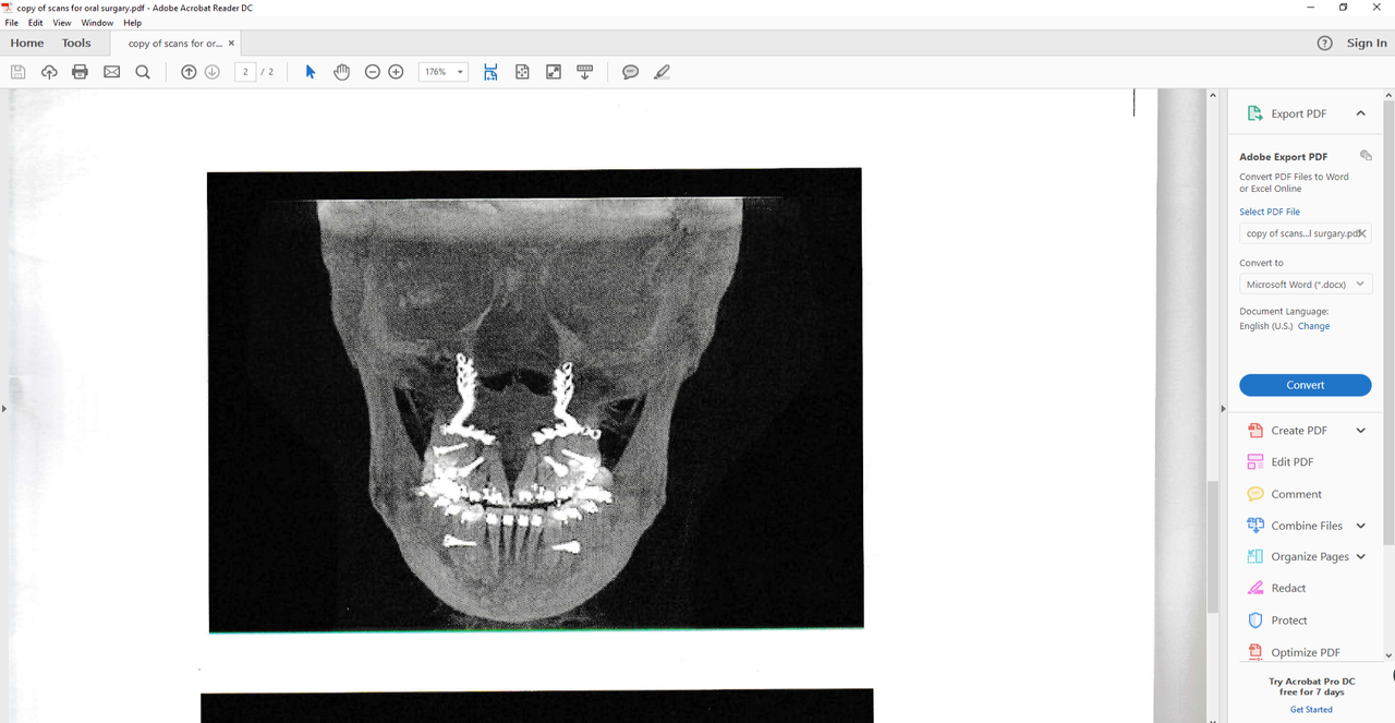 pics of scans -x-rays 3