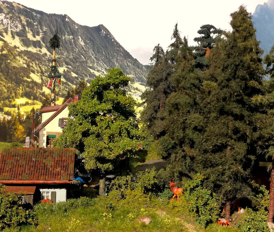 Maibaum Seite Bahnwärterhaus 1