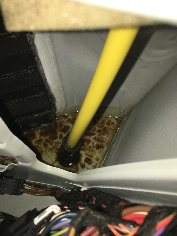 9DBF02CC-385D-4E2C-A258-49F8EEE6CCC8