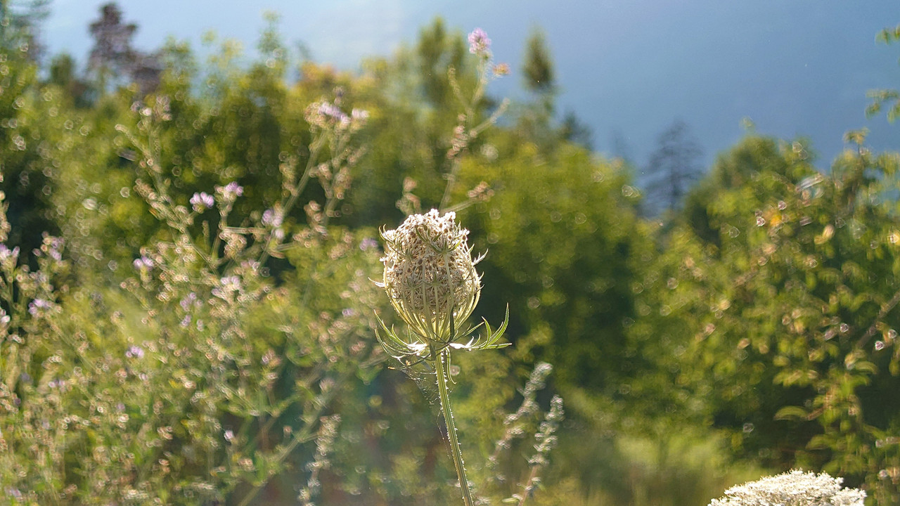 20210806-191048.jpg